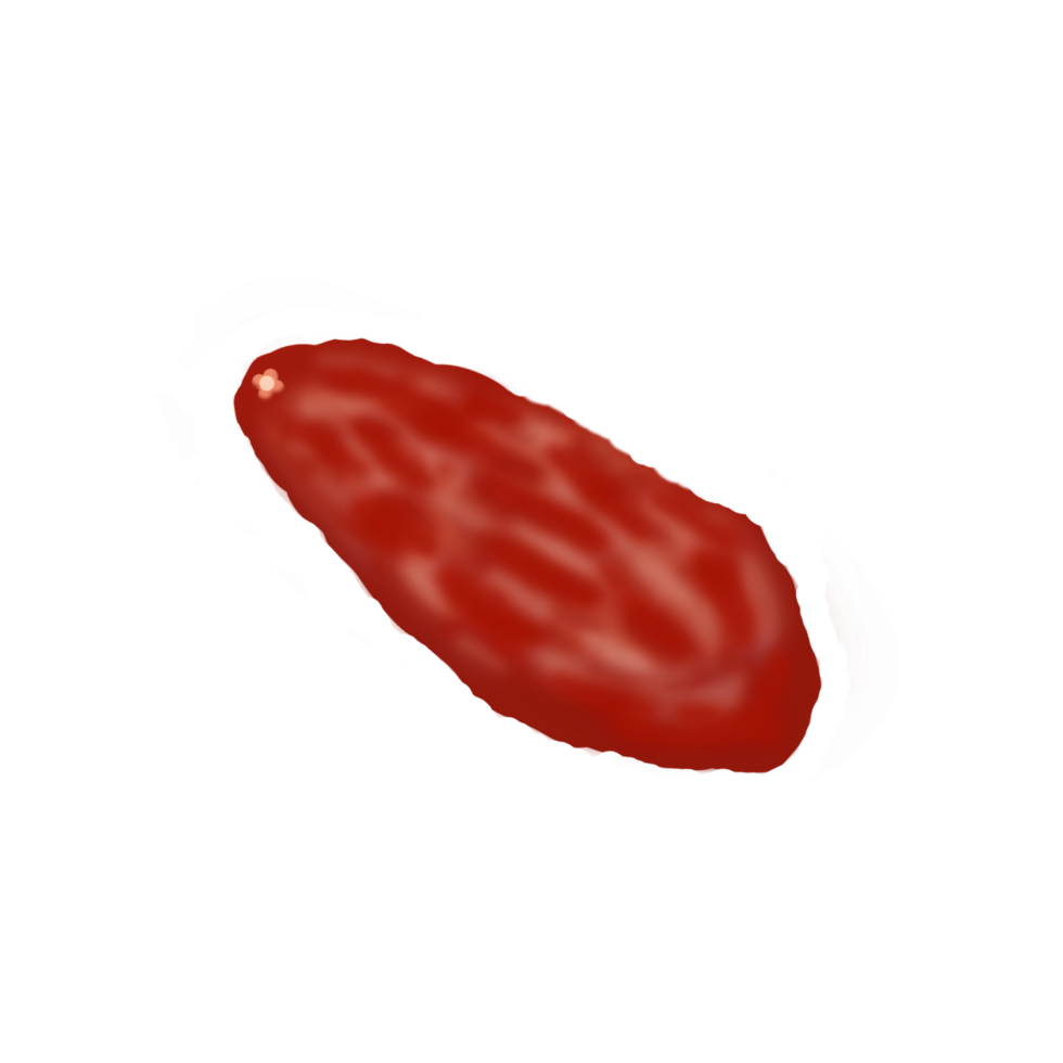 illustration-of-dates-fruit-28174763-png