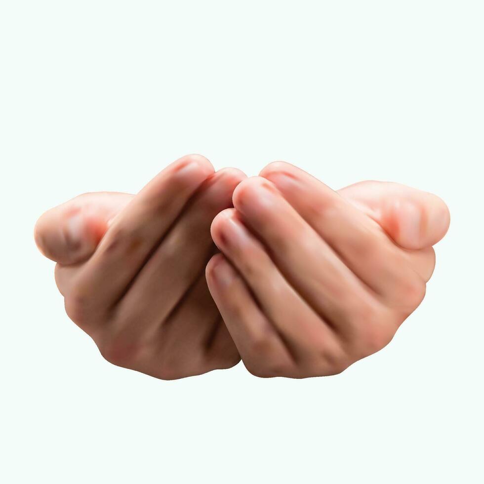 realistic hands isolated vector