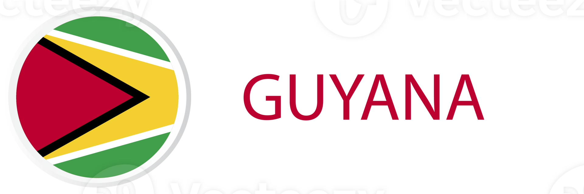 Guyana flag in web button, button icons. png