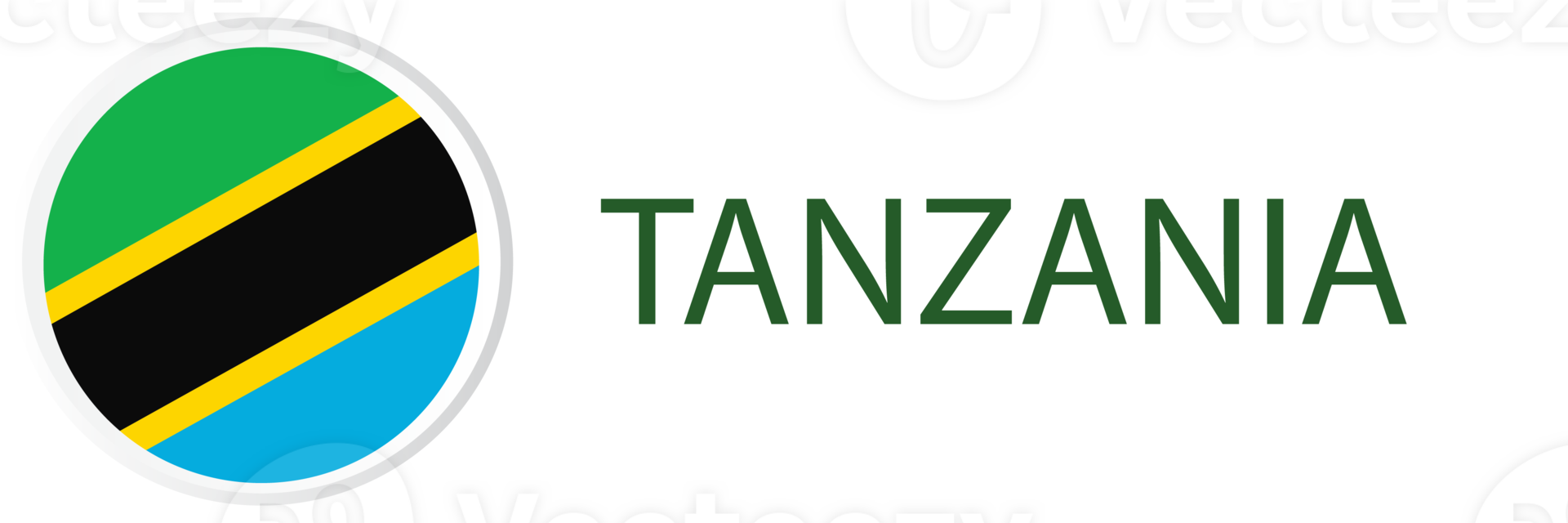 Tanzania flag in button web. png