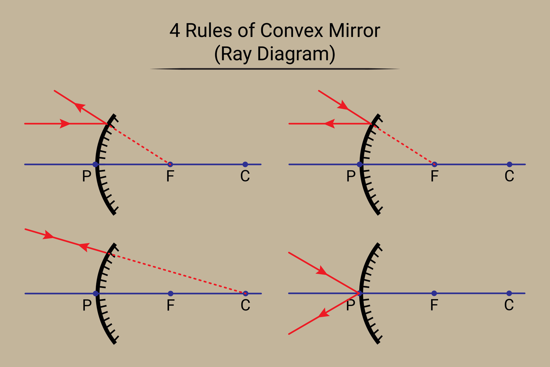 4 Rules of Convex Mirror. Ray Diagram 28175645 Vector Art at Vecteezy