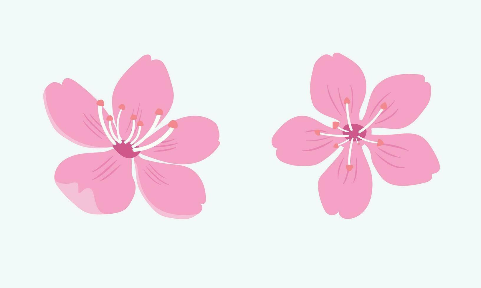 Explore the natural beauty of Japan through our collection of cherry blossoms. Capture the essence of spring in every detail vector