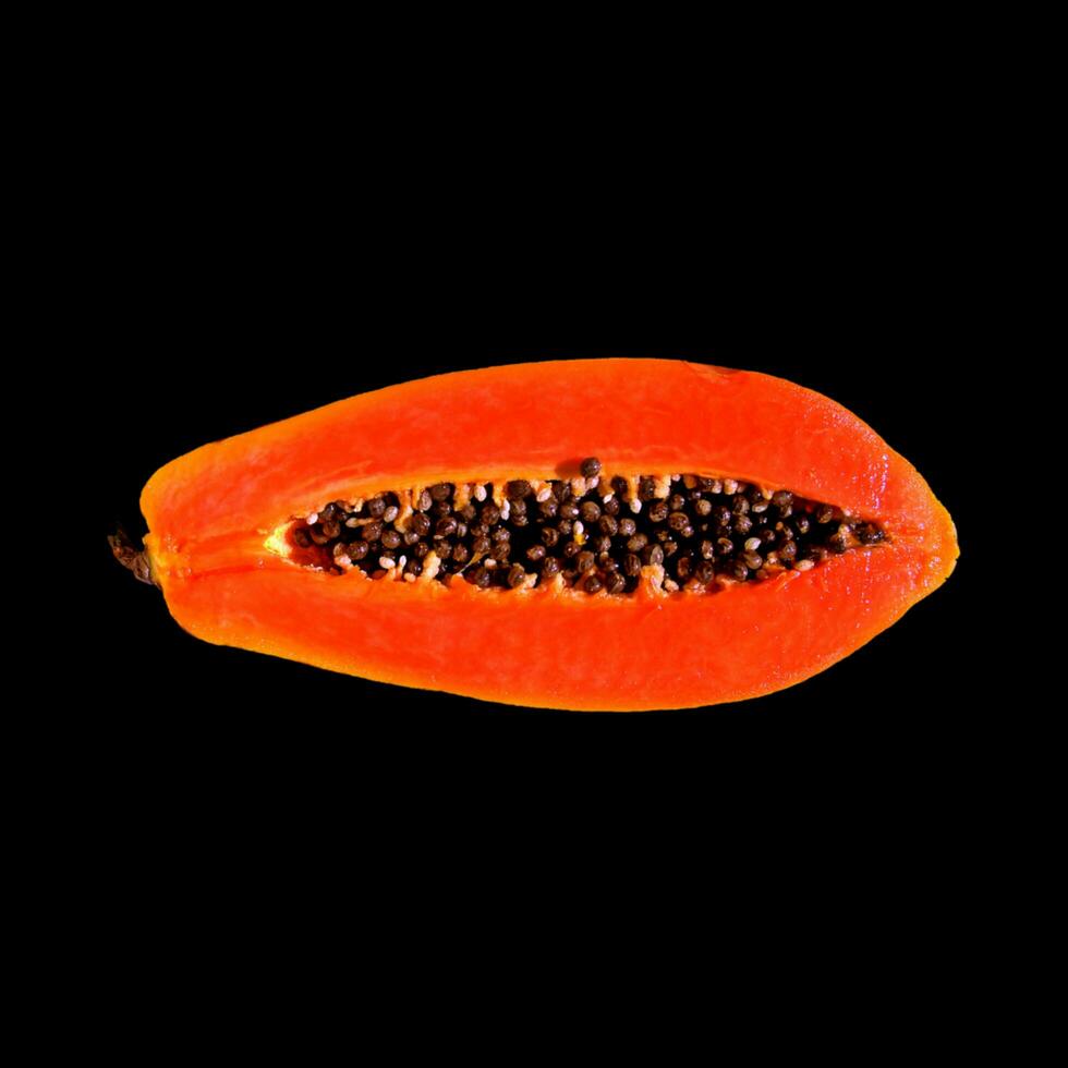 papaya vector background photo