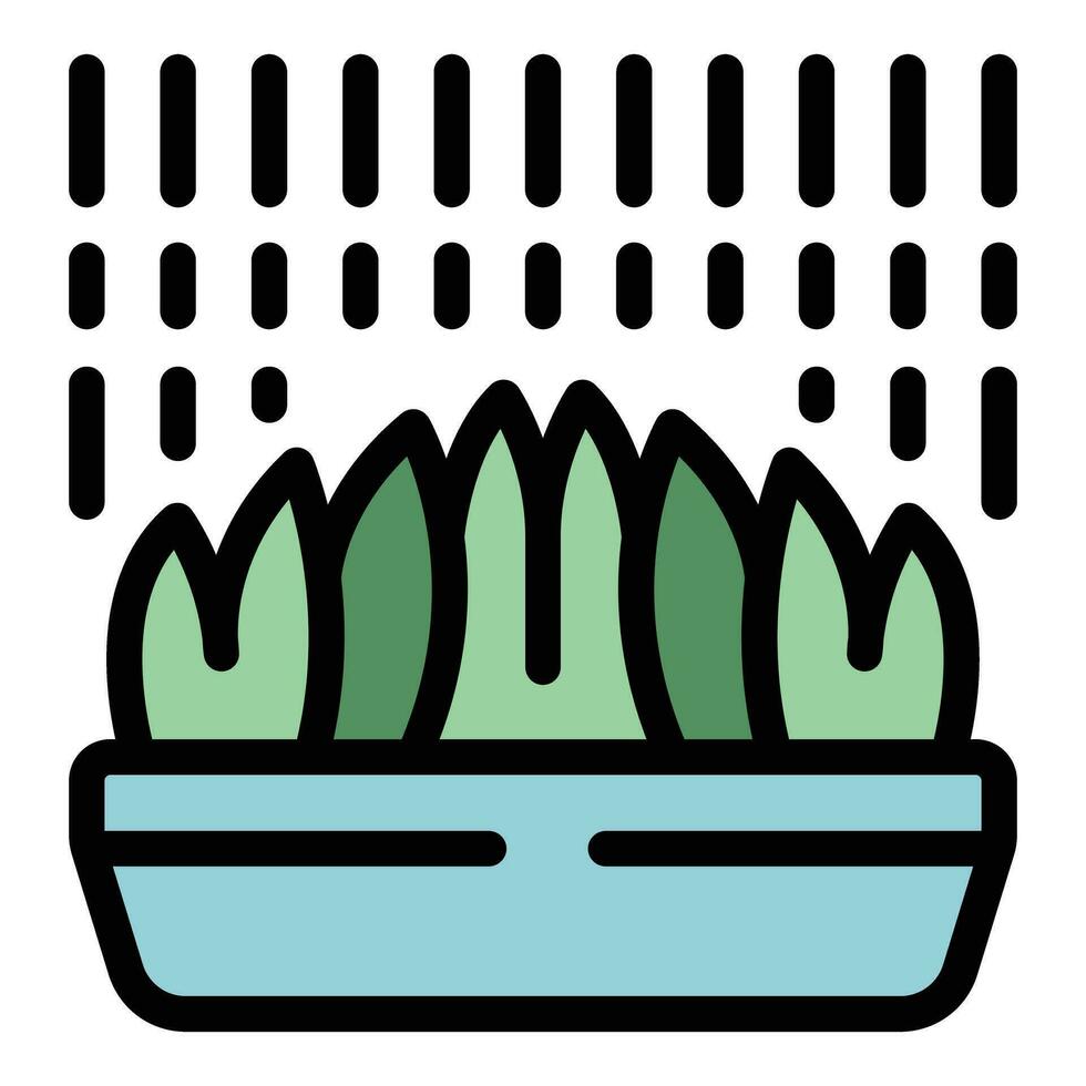 planta maceta lluvia icono vector plano