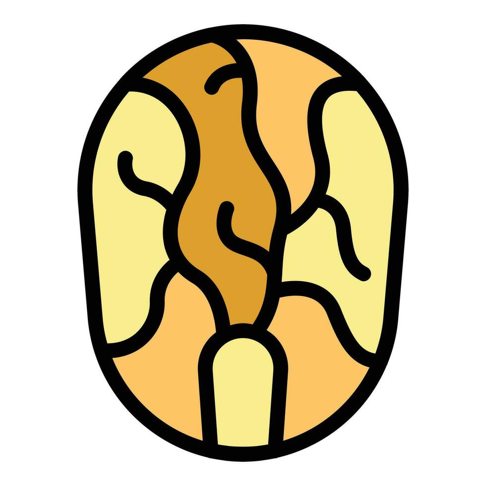 Fresh cabbage icon vector flat