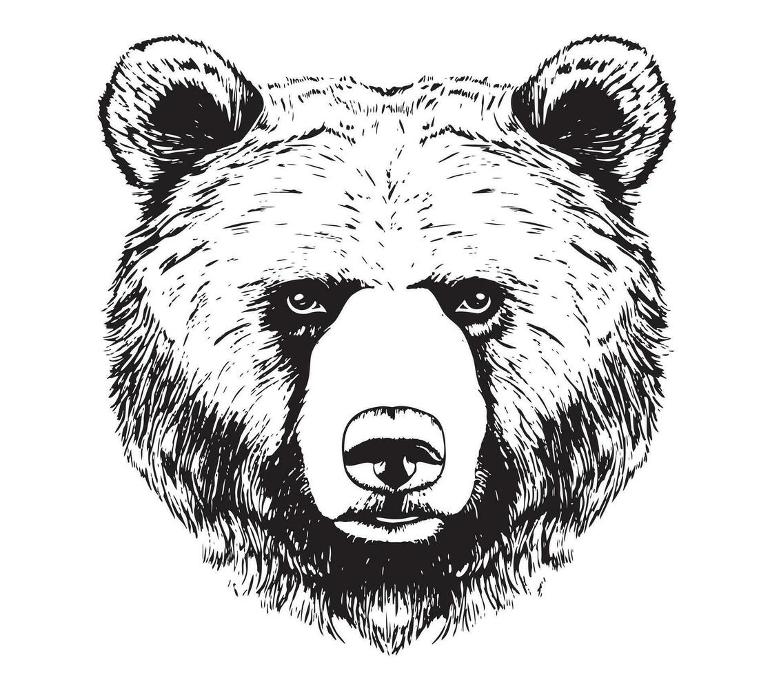 Bear face sketch hand drawn cartoon style Vector illustration