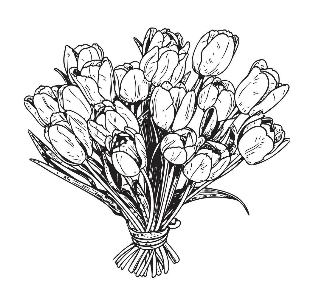 ramo de flores de tulipanes mano dibujado bosquejo vector ilustración flores