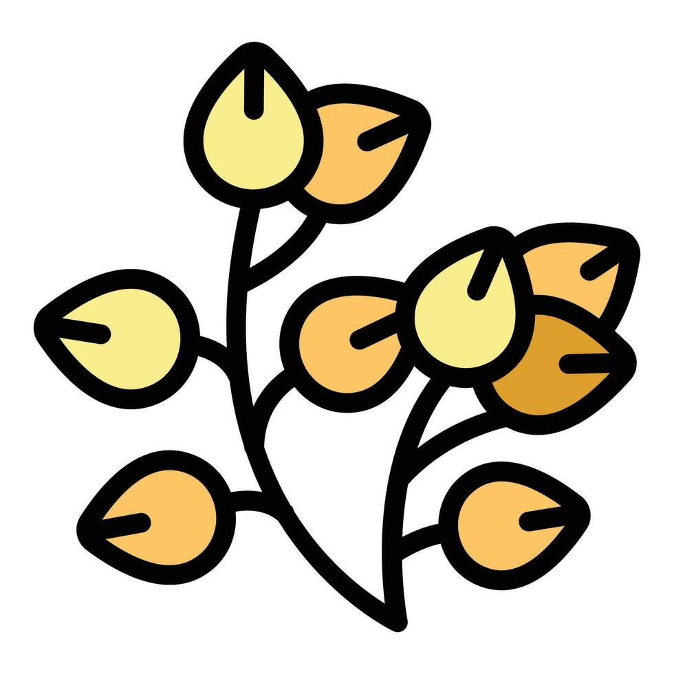 Plant buckwheat icon vector flat