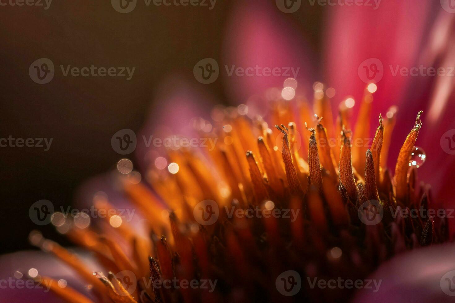 Macro shot flower. Generate Ai photo