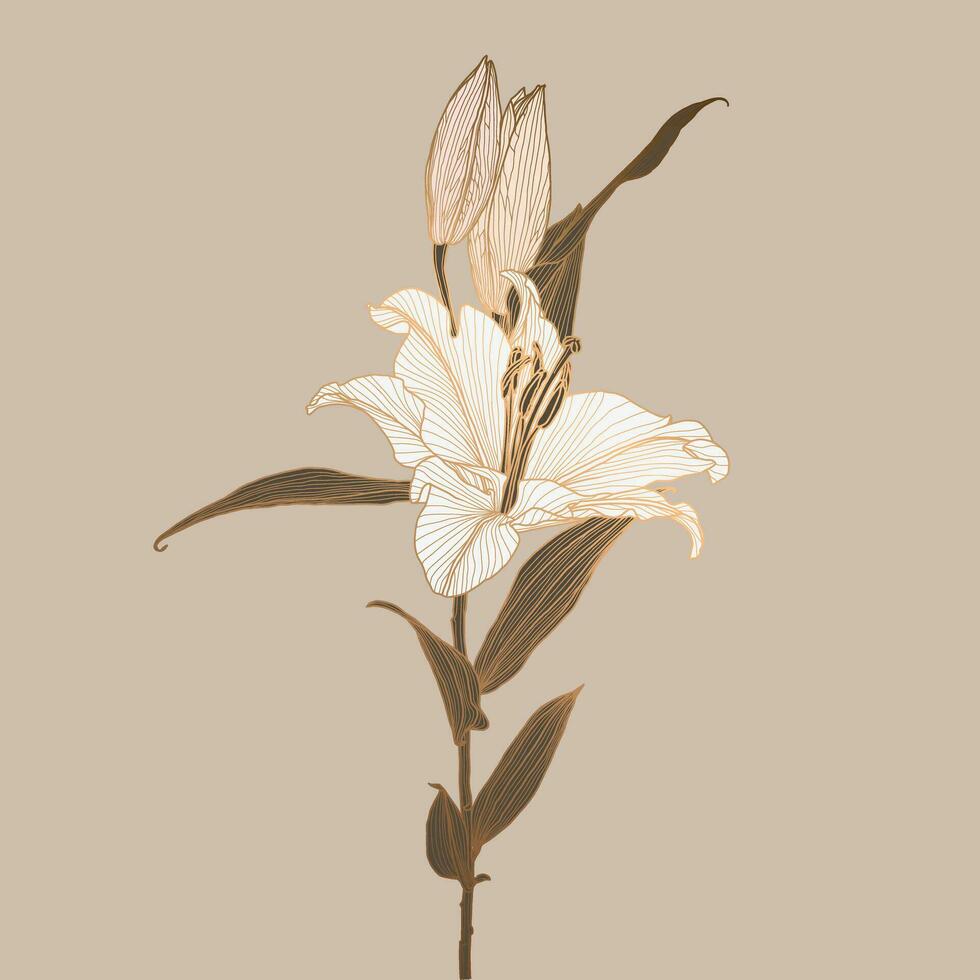 Lily flower linear drawing with bronze metallic outline colored in neutral brown, white, pink. Design for print, poster, cover, banner, fabric, invitation, postcard and packaging. vector