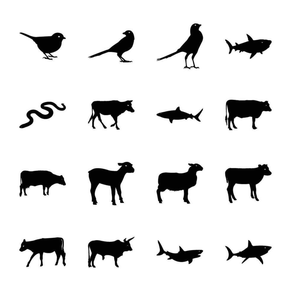 paquete de aves, pescado y animales sólido icono vectores