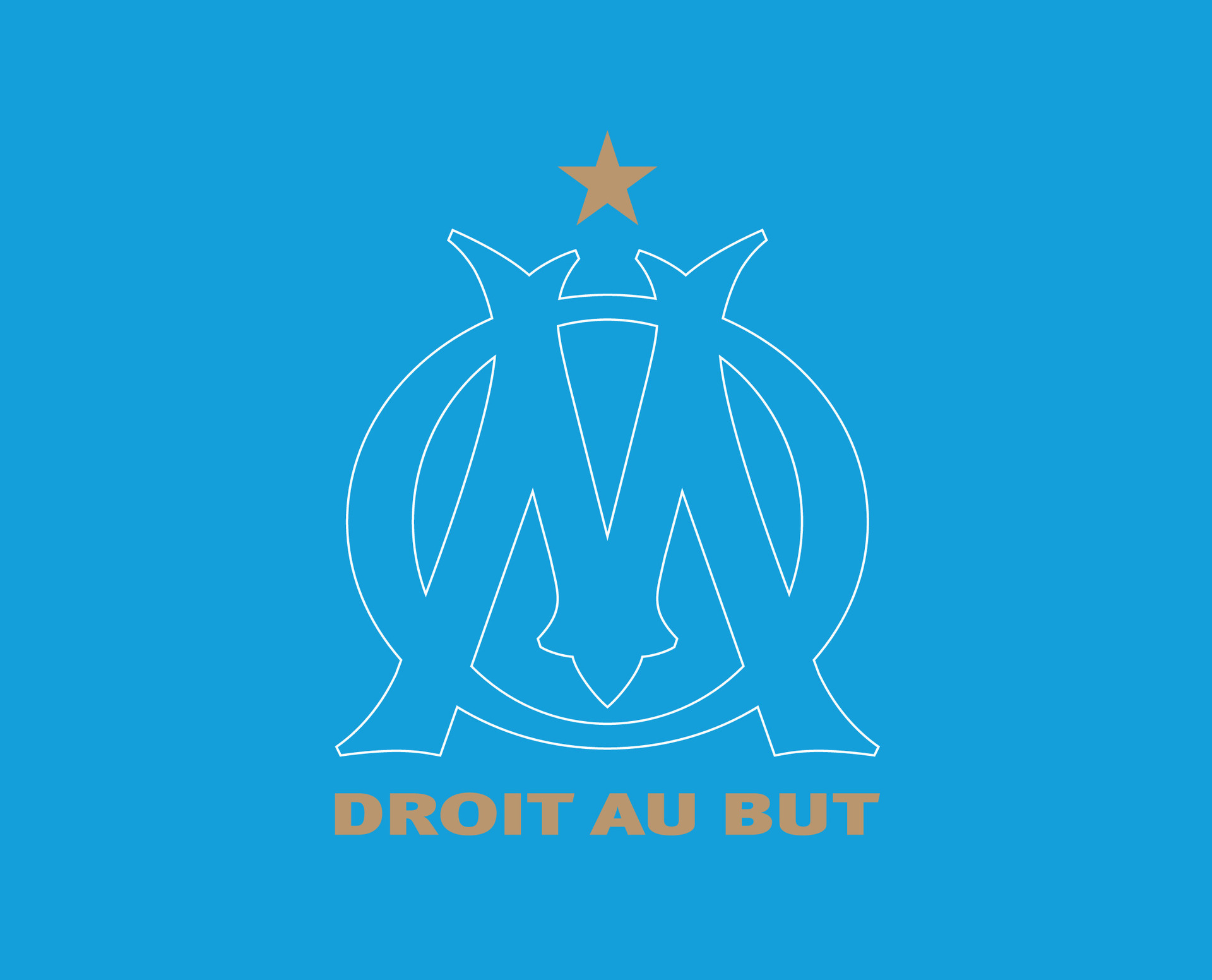 File:RCS-OL Ligue 1 - Mur Bleu - Meinau.jpg - Wikimedia Commons