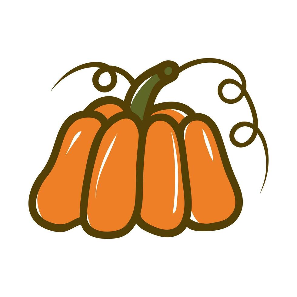 Orange pumpkin vector illustration. Autumn halloween pumpkin, vegetable graphic icon or print, isolated on white background.