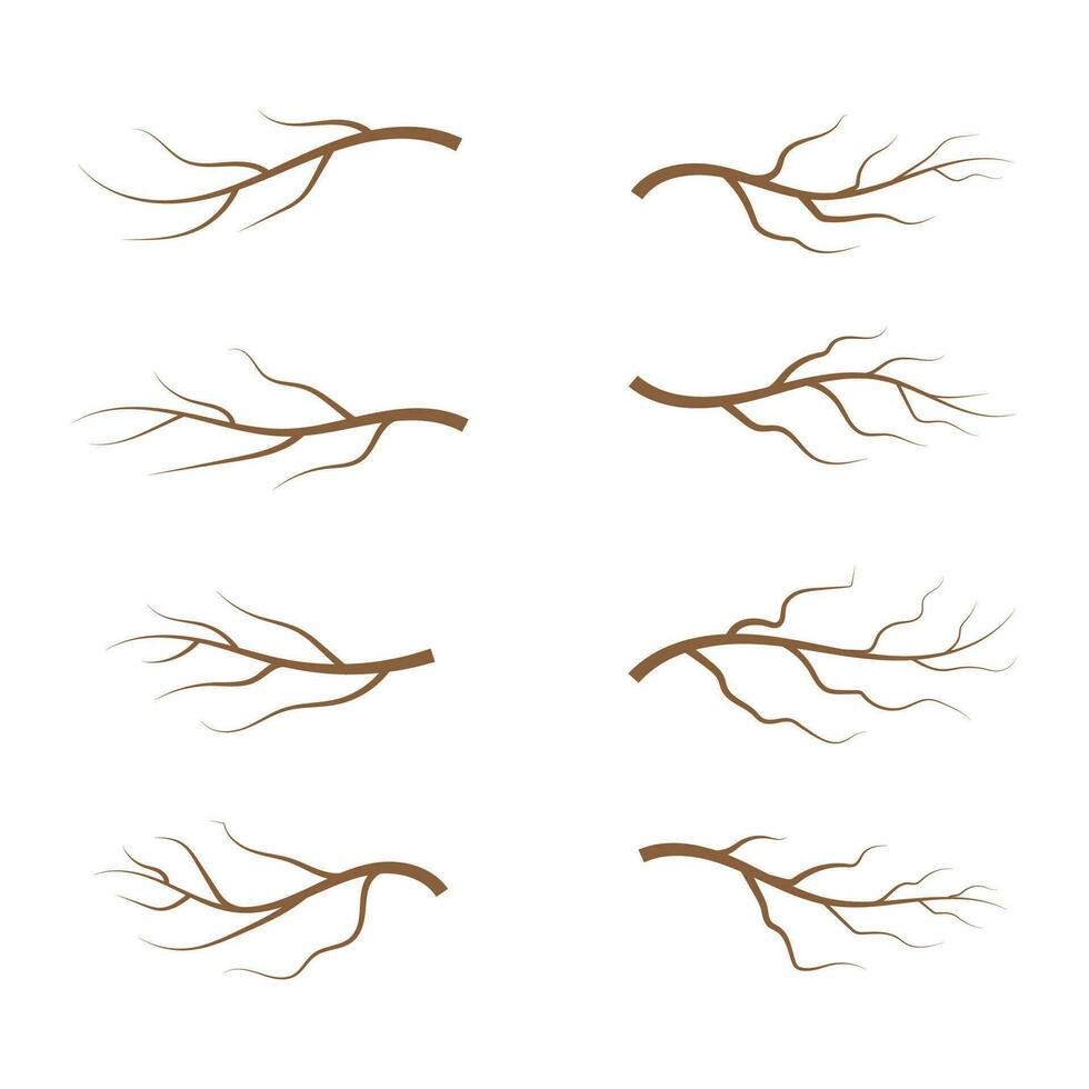 estético árbol rama siluetas hojas, remolinos y floral elementos vector ilustración