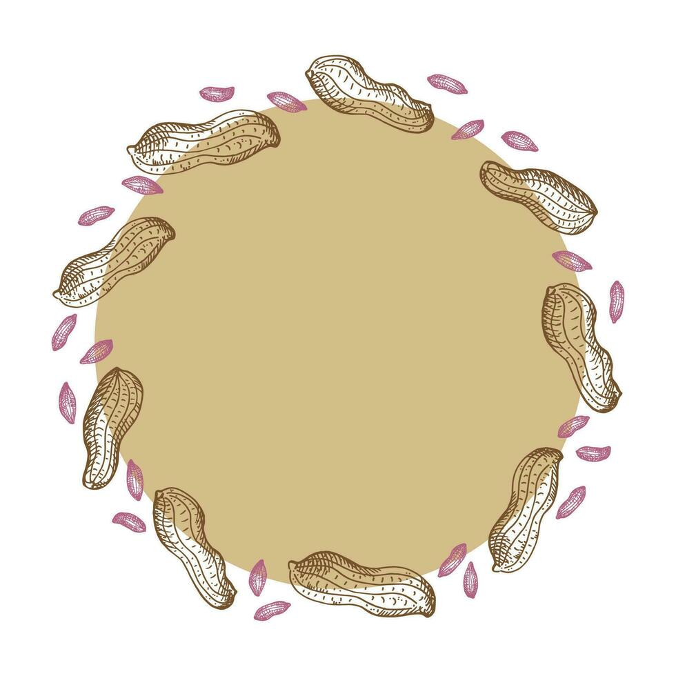 Peanut nuts frame label background for text. Wreath backdrop engraved peanuts, nut beans, groundnut, legumes. Healthy food, agriculture. Design element for template, logo, print. Vector illustration