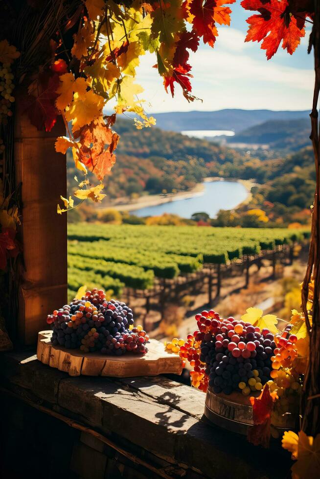 Vivid foliage frames a vineyard setting the scene for an enchanting autumn wine tasting excursion photo