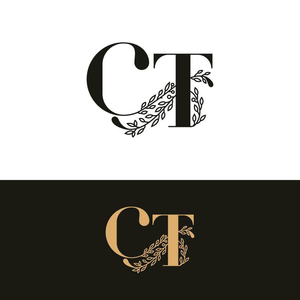 handdrawn wedding monogram CT logo vector