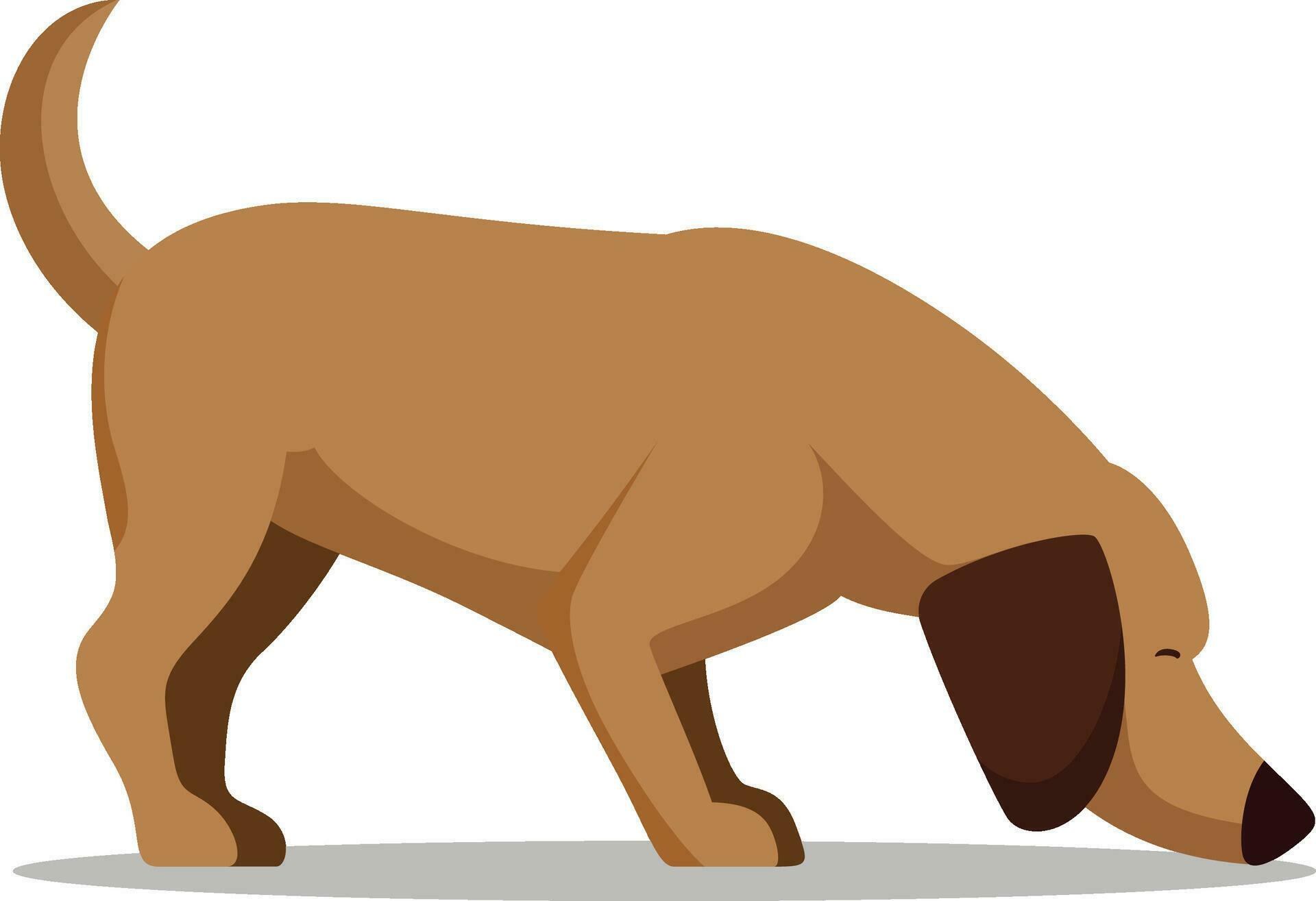 Sniffing dog flat style vector illustration, Hunter dog sniffing the