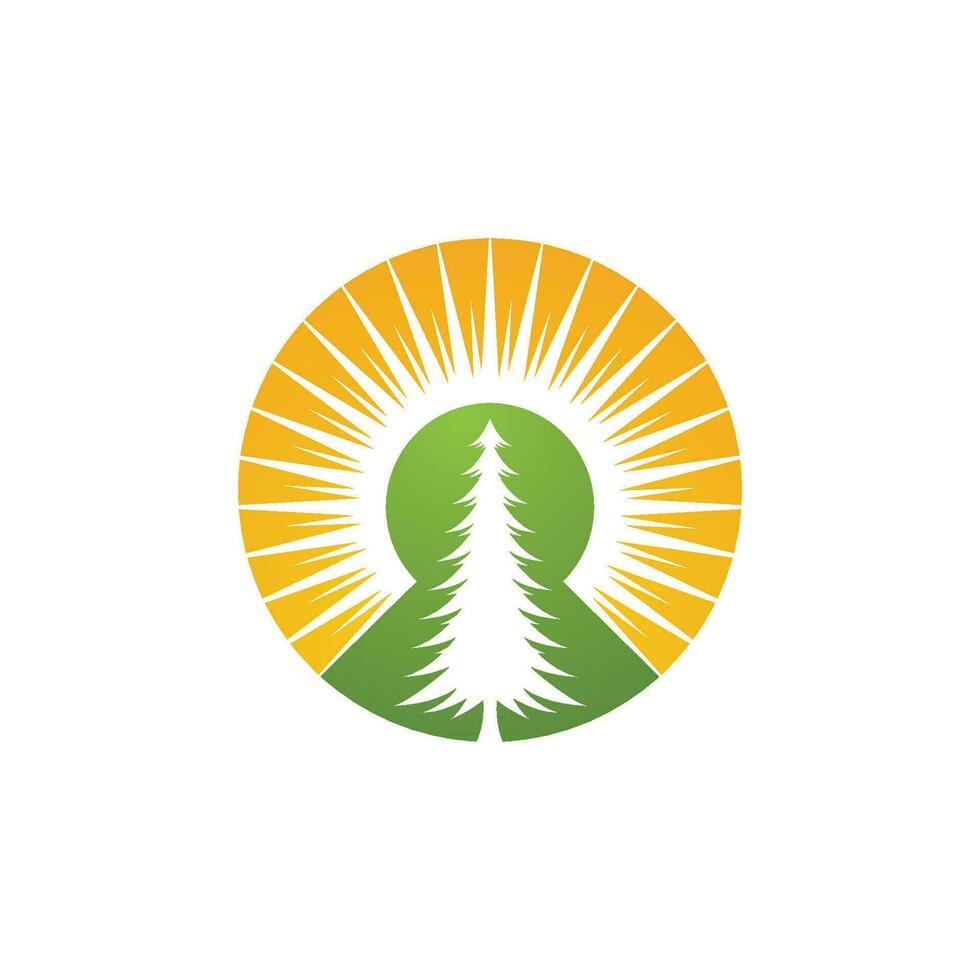 vector de plantilla de logotipo de árbol de cedro