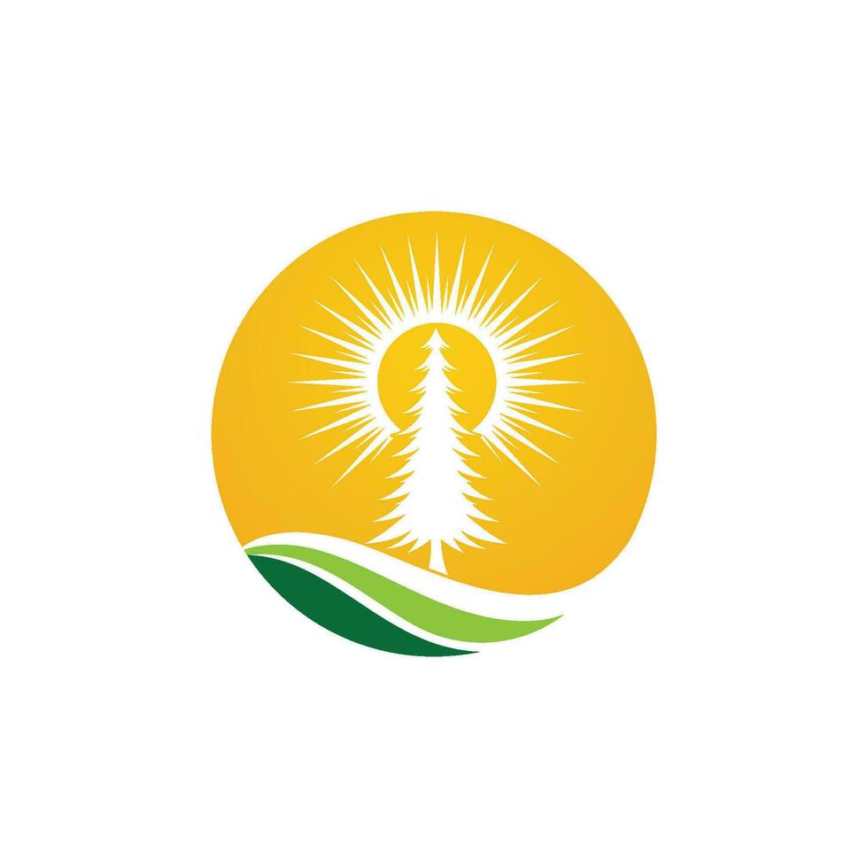 vector de plantilla de logotipo de árbol de cedro