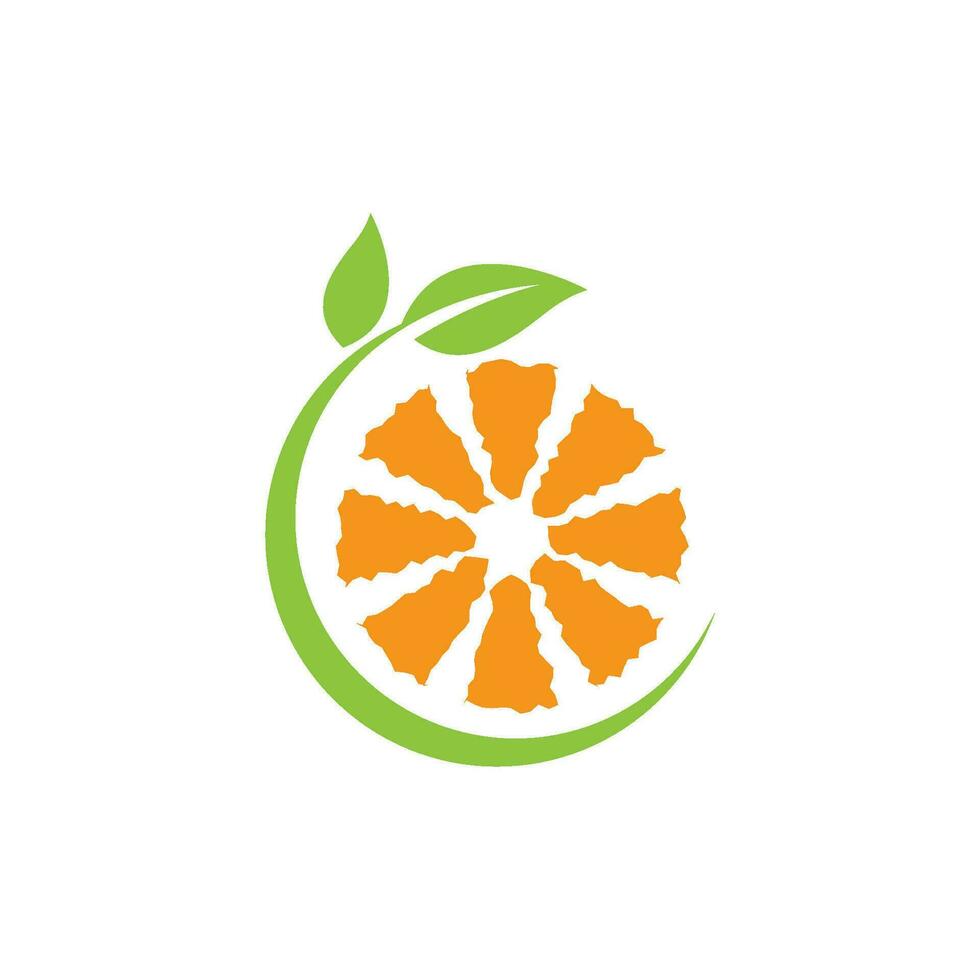 Orange logo design vector