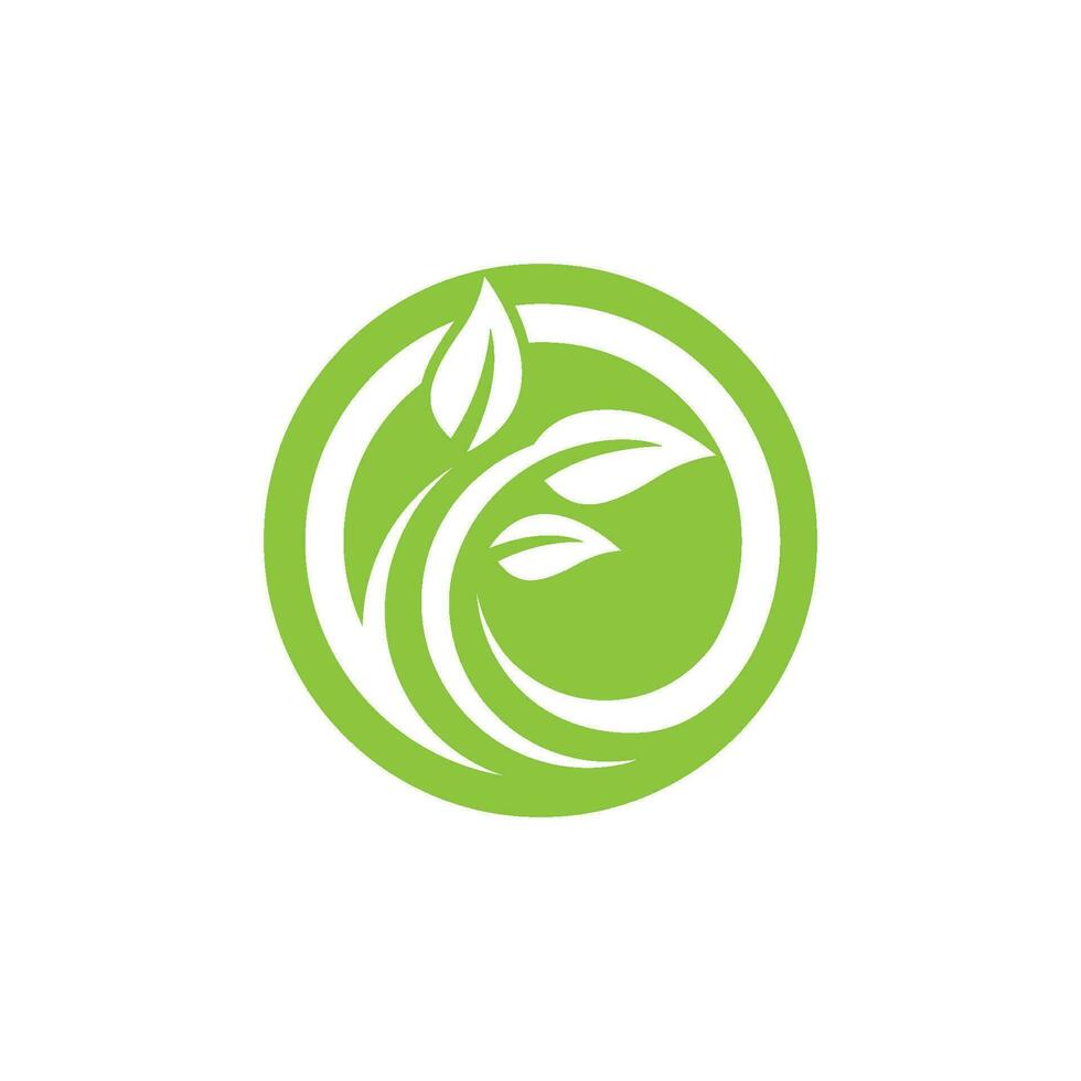 logotipos de la ecología de la hoja del árbol verde vector