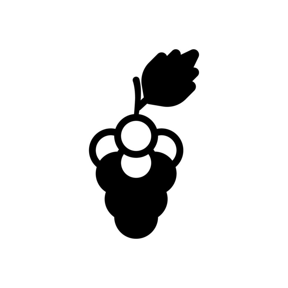 grape icon solid style vector