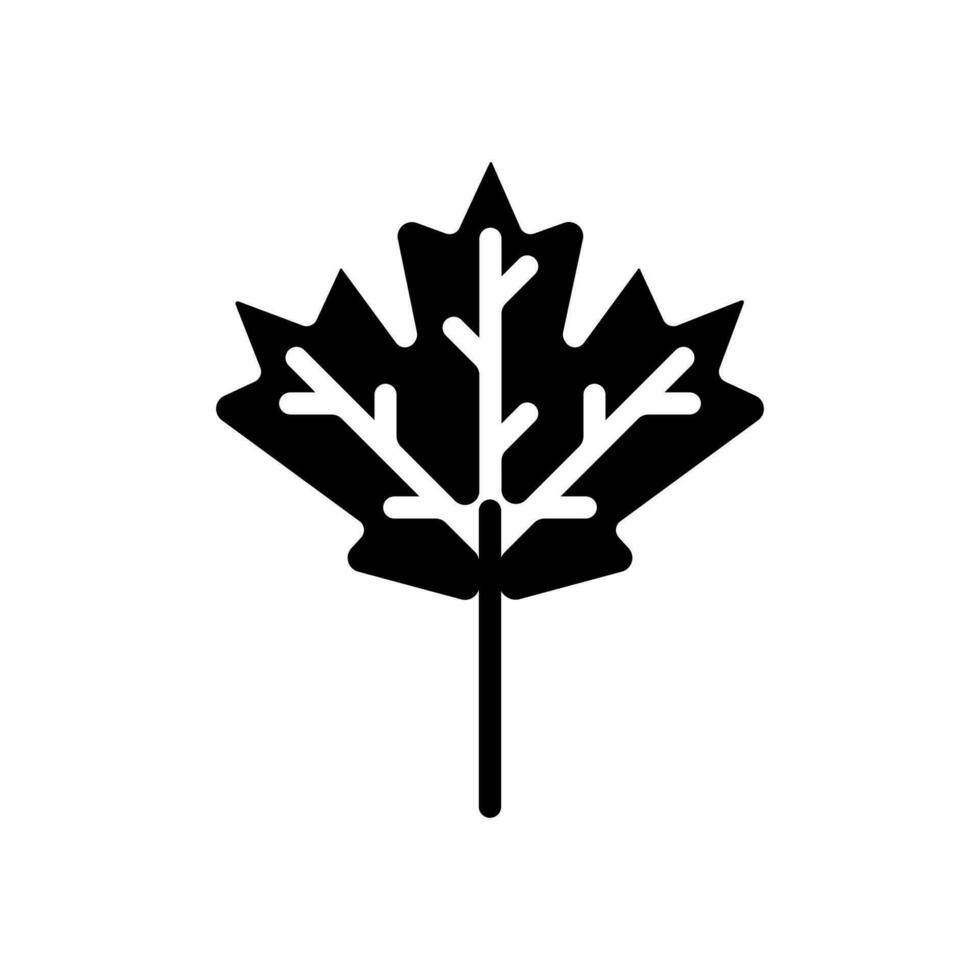 maple leaf icon solid style vector