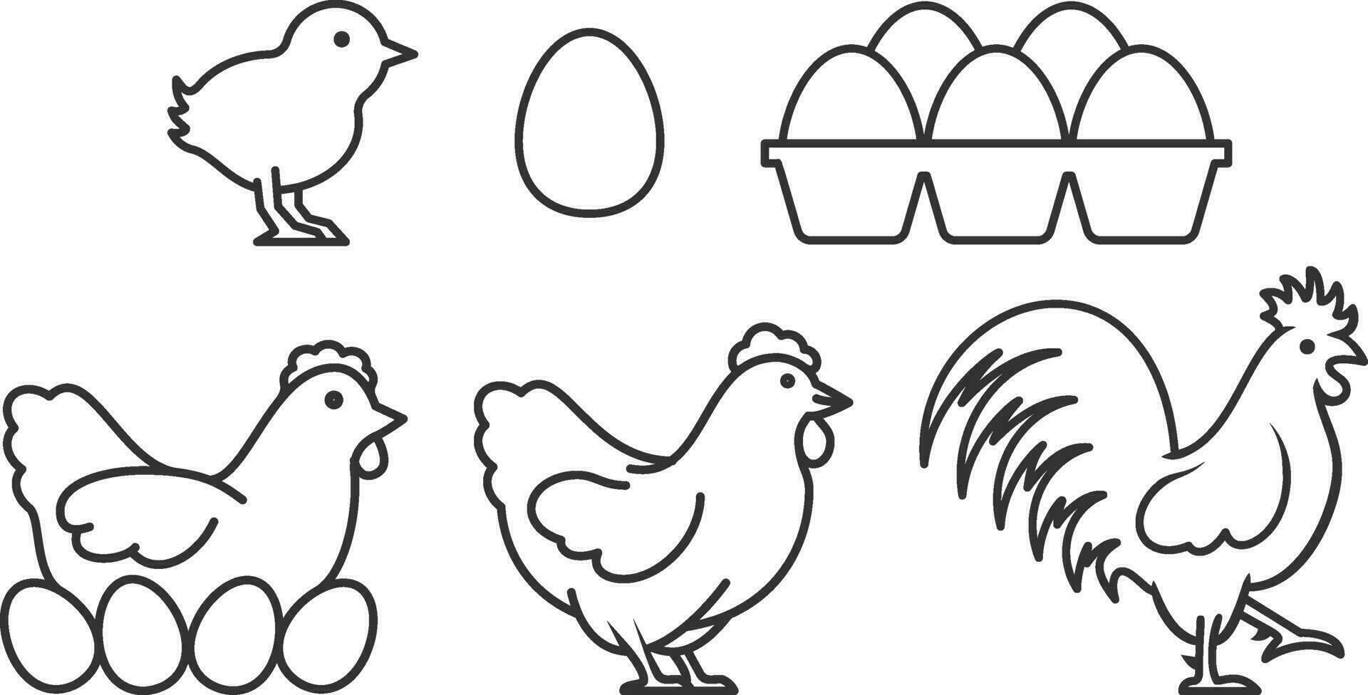 Poultry chicken livestock line icon vector