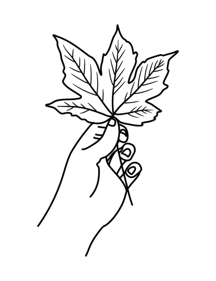 hand holding fall leaf autumn illustration vector