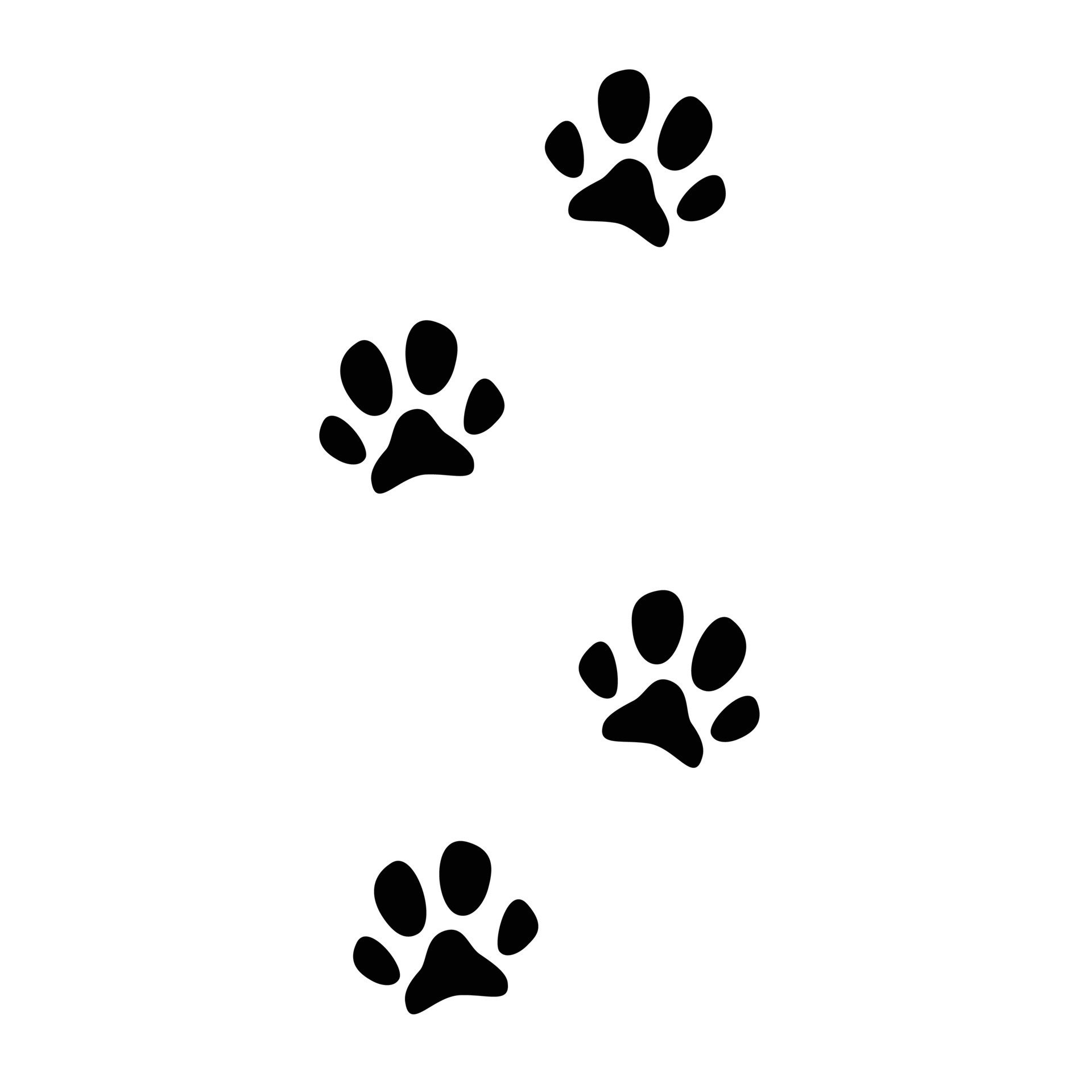 paw-print-footprints-icon-animal-footprint-symbol-dog-footprints