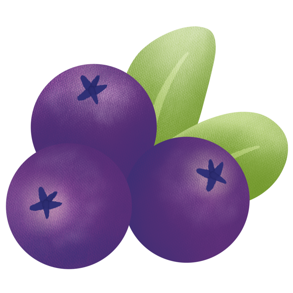 Hand drawn cute art blueberries fruit png