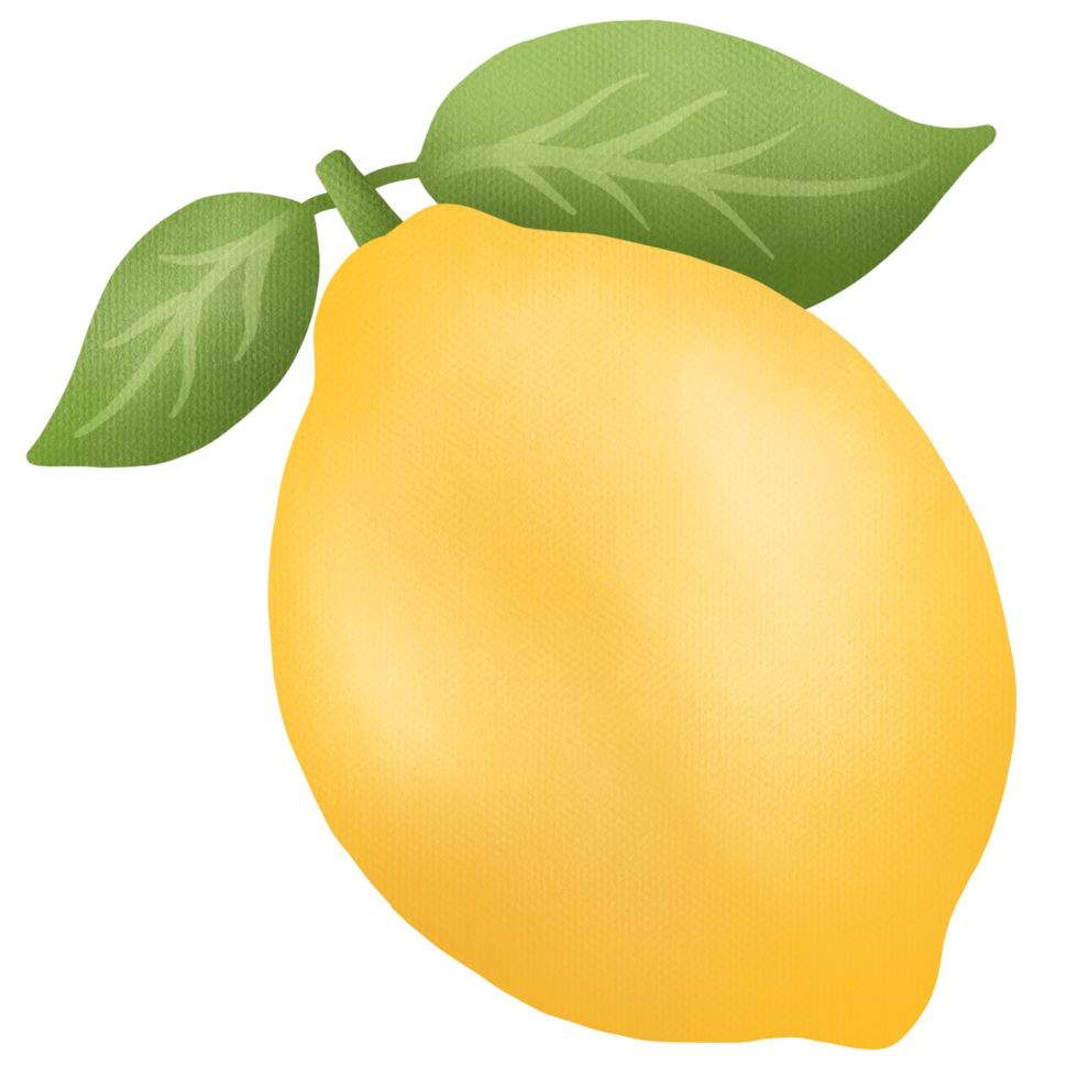 mano dibujado linda Arte limón Fruta png