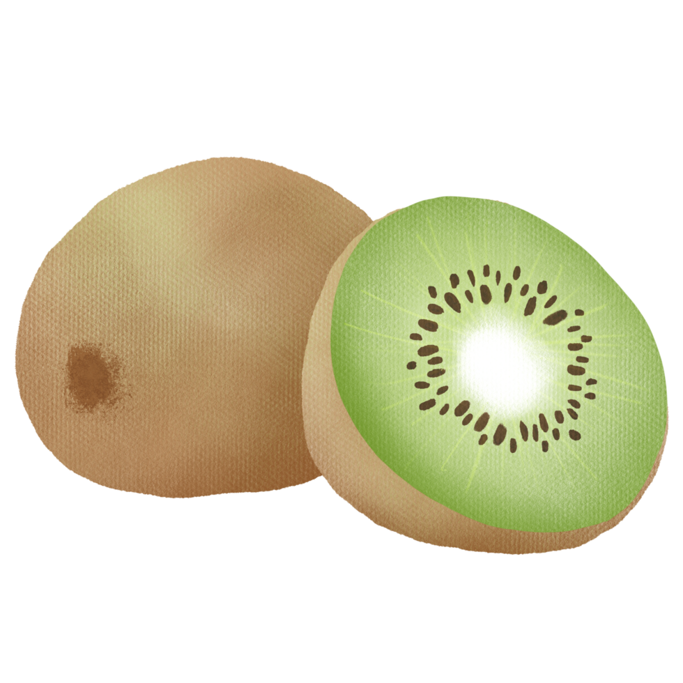 hand- getrokken schattig kunst kiwi fruit png