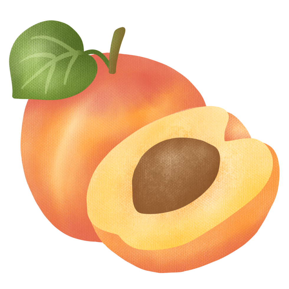 Hand gezeichnet süß Kunst Pfirsich Obst png