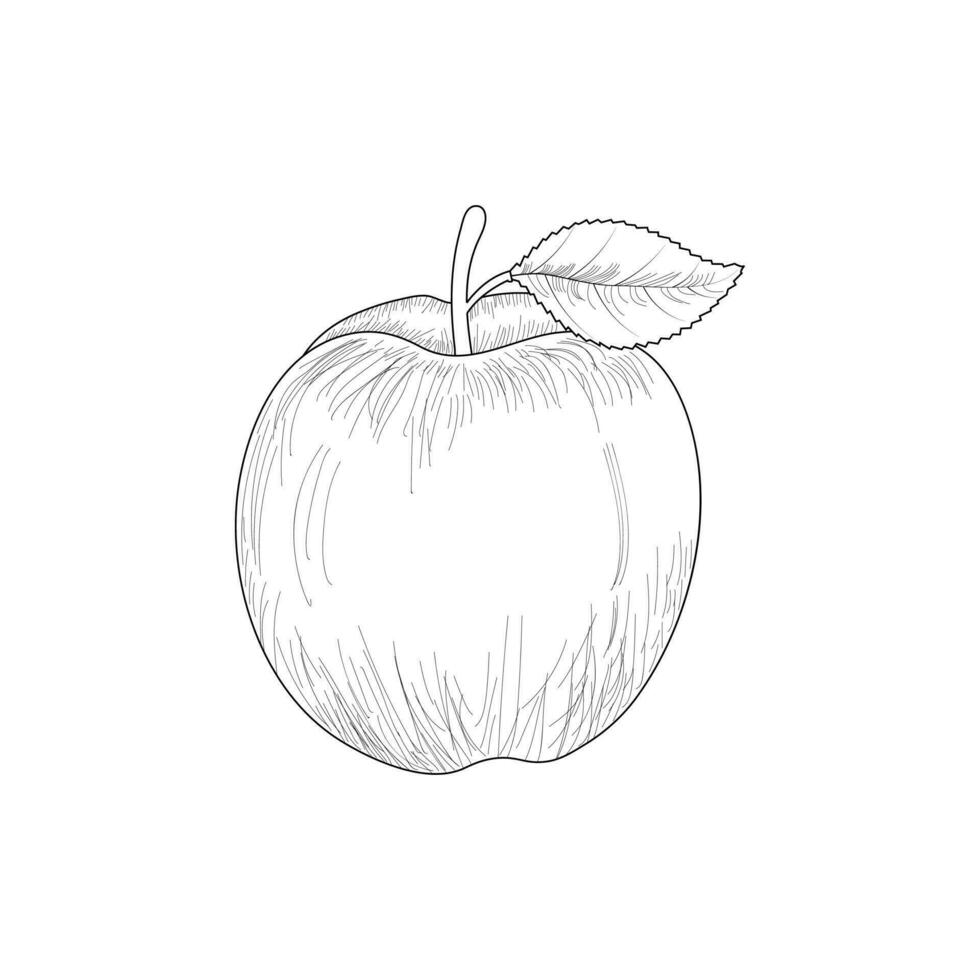 manzana frutas contorno ilustración vector