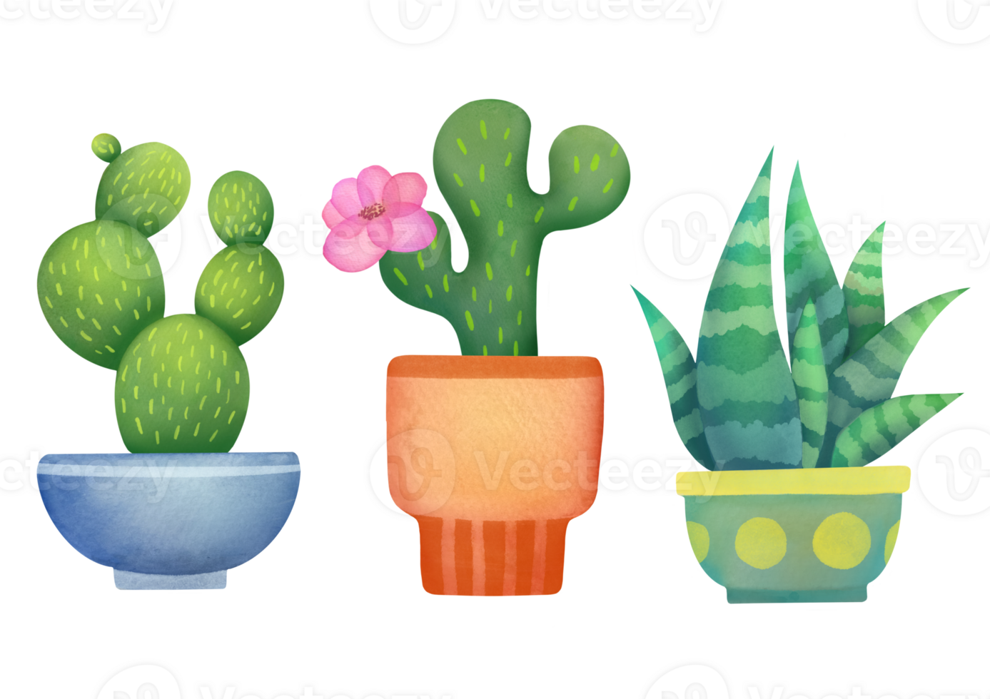 Cartoon Cactus Potted Plant Plant Cactus PNG , Cacto Clipart