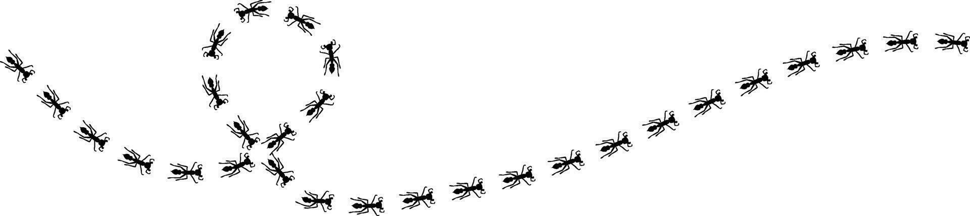 Ant trail illustration. Insect path to the home. vector