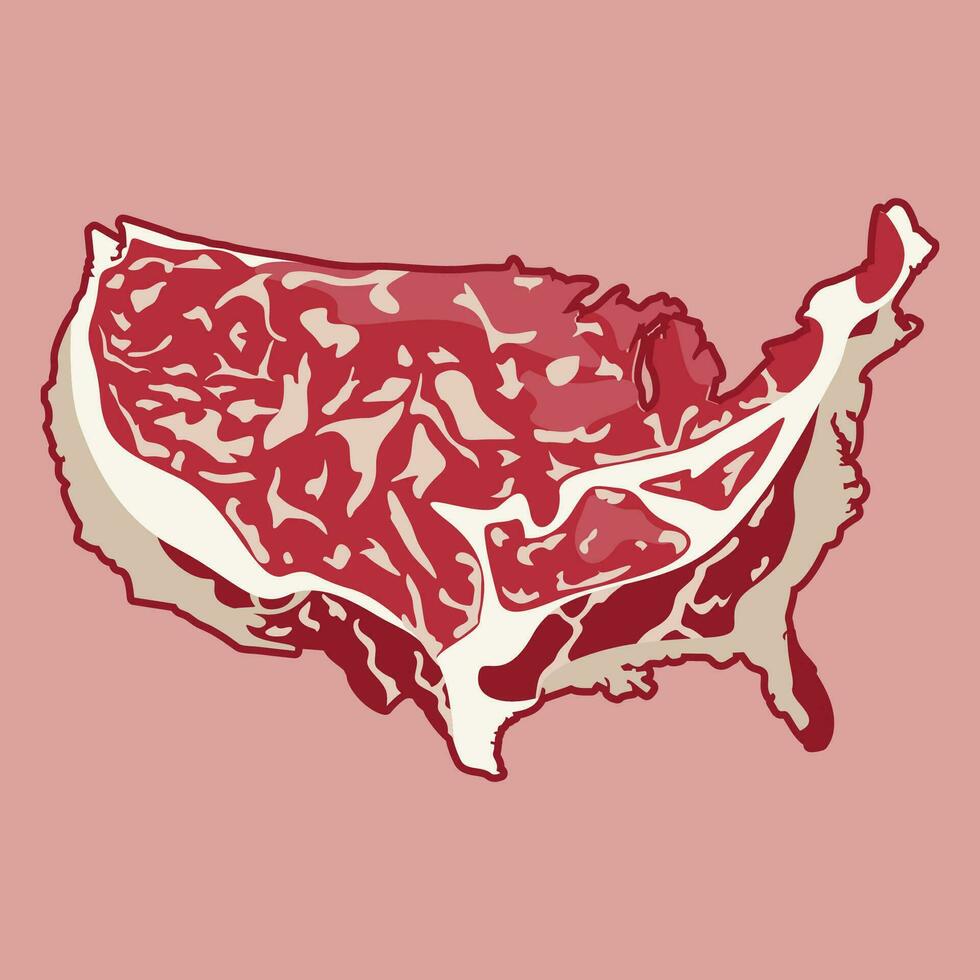 america country map in meat steak style illustration vector