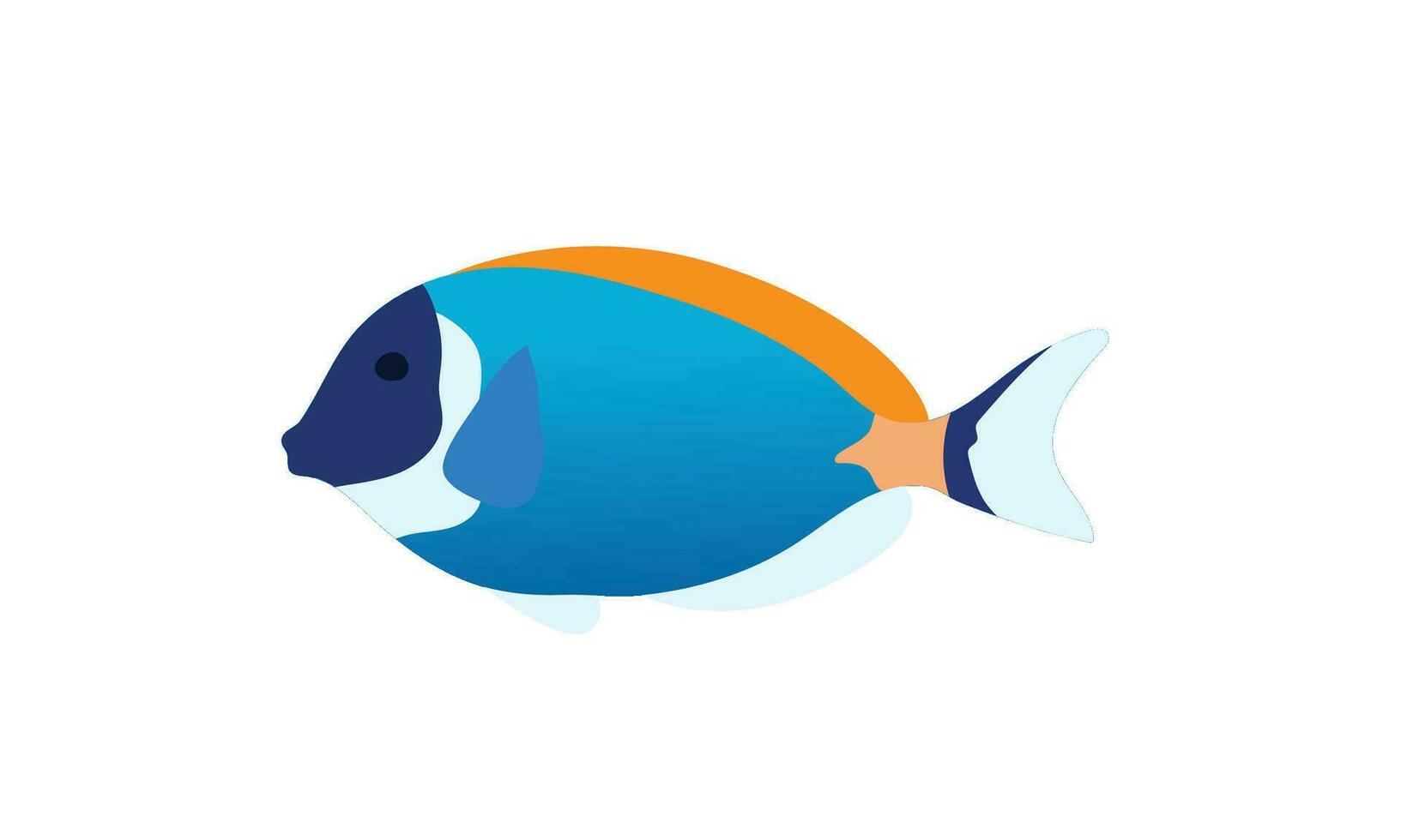 Vector colorful fish minimalist animal design ocean fish swimming in water flat vector
