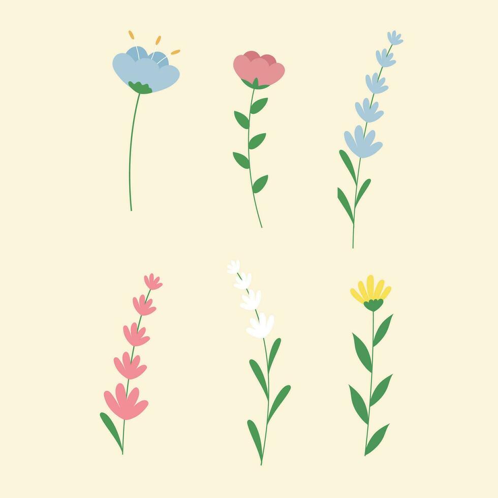 Vector hand drawn beautiful flowers collection