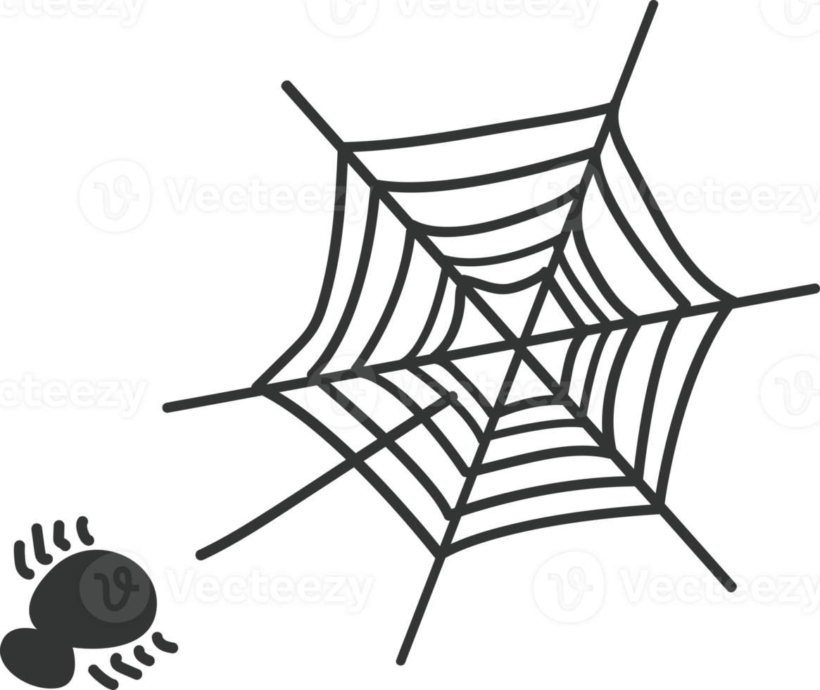 a spider on the cobweb png