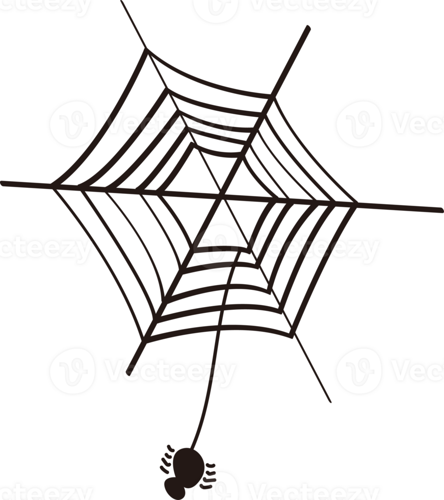 a spider on the cobweb png