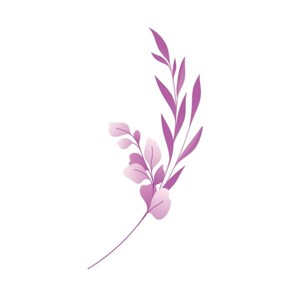 Vector beautiful flowers illustration