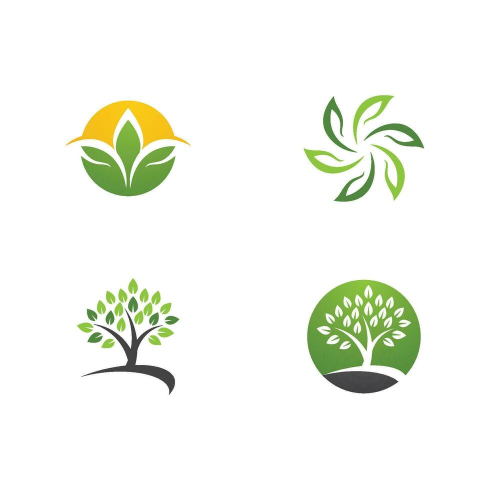 Logos of green Tree leaf ecology vector