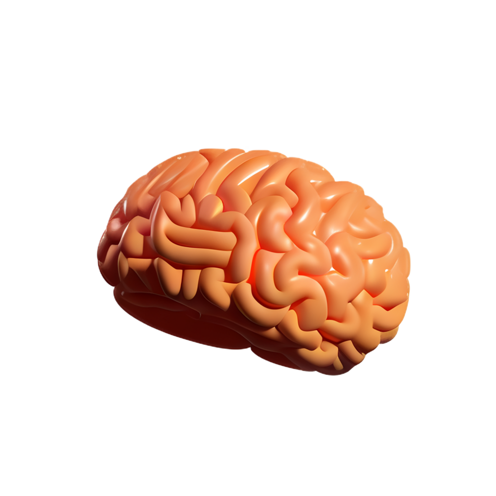 brain 3d icon illustration png