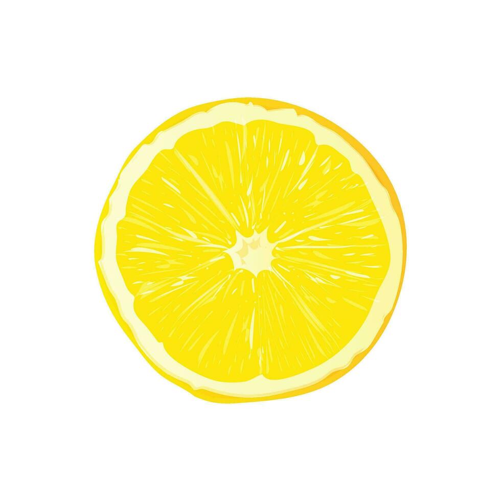 Vector slice ripe lemon citrus fruit on a white