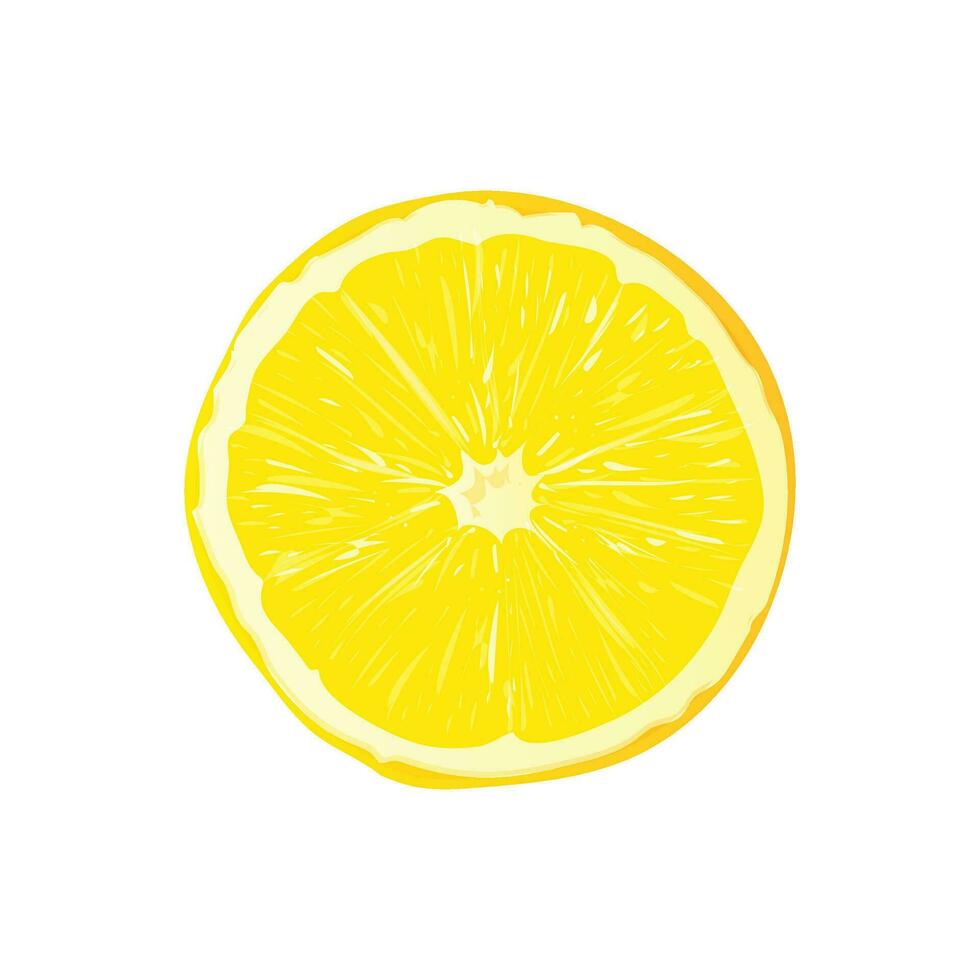 Vector slice ripe lemon citrus fruit on a white