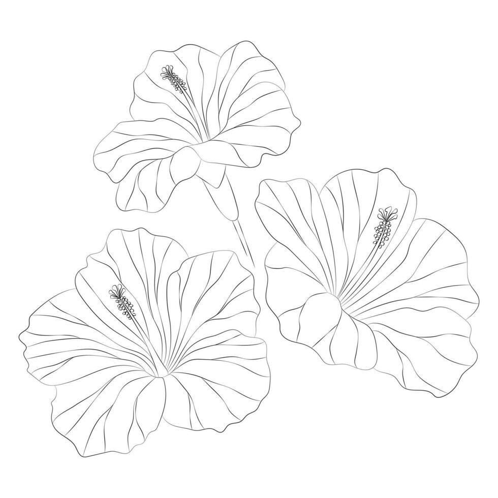 hibisco tropical flores colocar. vector botánico ilustración, contorno gráfico dibujo.