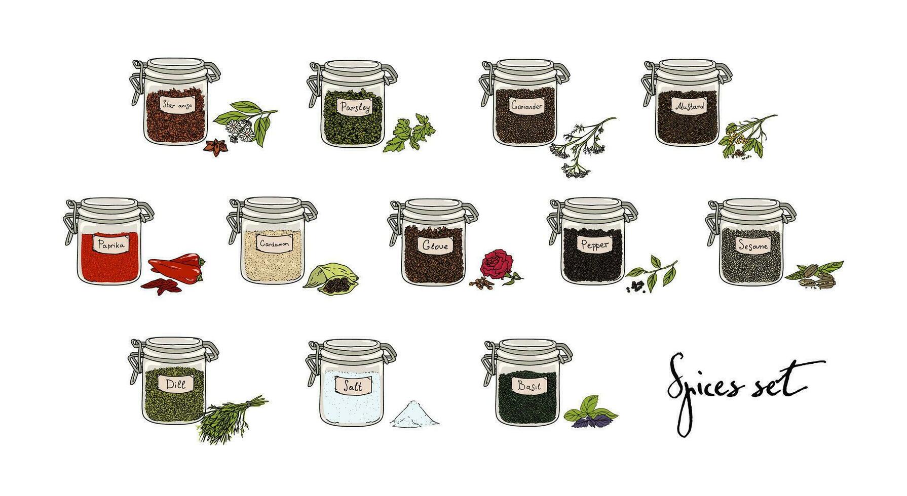 spices in jars, big set, part 2. collection hand drawn vector illustration.
